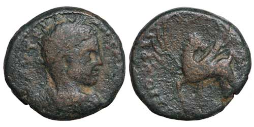 A bronze coin of Elagabalus from Hippos-Susita in the Decapolis, Syria, showing Pegasus