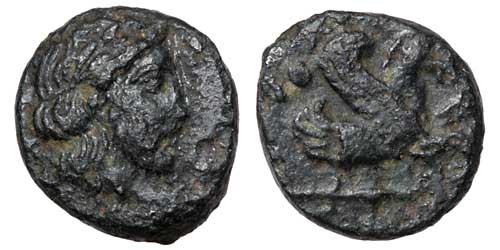 A small bronze coin of Iolla showing Zeus and Pegasos