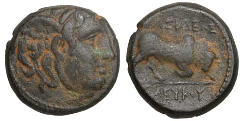 A bronze coin of Seleukos I showing a winged Medusa and a bull