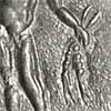 Detail of the reverse of a denarius of Elagabalus showing ears of corn